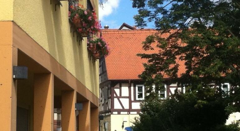 Hotel Zum Karpfen - Photo2