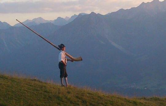 Landhotel Alphorn - Photo3