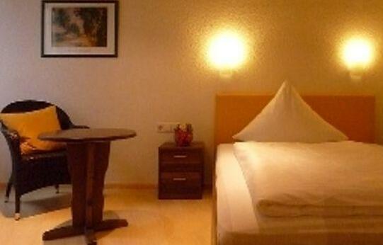 Hotel Rebstock Ohlsbach - Photo3