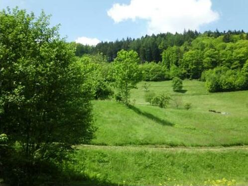 Gastezimmer an der Rench - Photo4