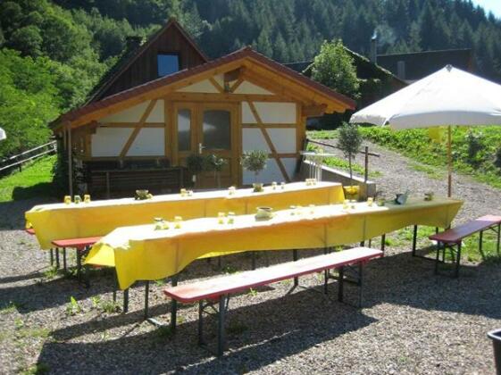 Springhansenhof - Photo5