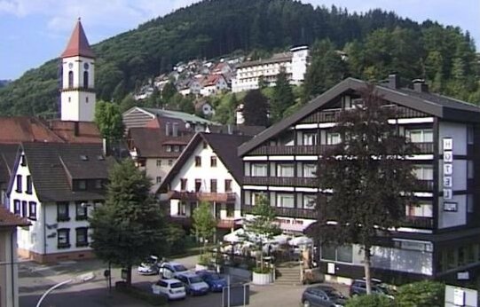 Hotel Pflug - Photo2