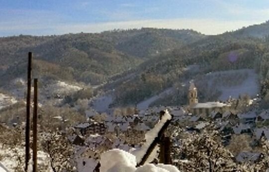 Hotel Pflug - Photo4