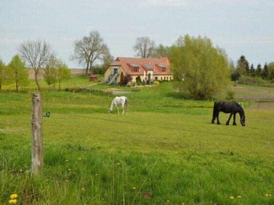 Heu-Ferienhof Altkamp - Photo4