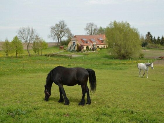 Heu-Ferienhof Altkamp - Photo5