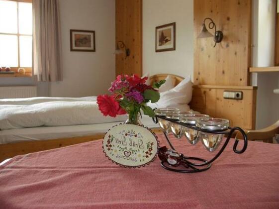 Apartment Schmuckhausl - Photo3