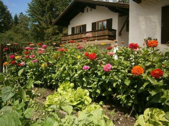 Ferienhaus Wildbachblick - Photo5