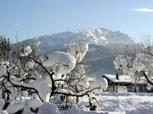 Gastehaus Munchner Hof - Photo4