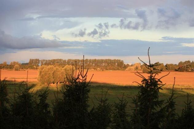 Pension vorm Darss - Photo2