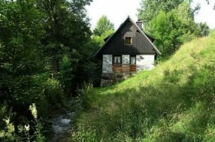 Holiday home Alte Muhle 1