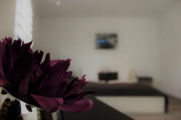 Aparthotel ZOE Elversberg - Photo2