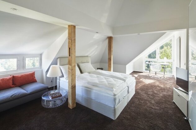 Hotel Villa Erlenbad - Photo5