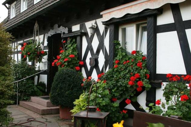 Pension am Weinberg - Photo5