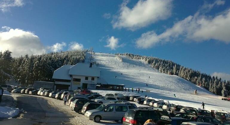 Pension-Stadt-Baden - Photo2