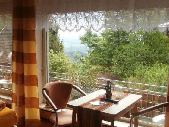 Pension-Stadt-Baden - Photo4