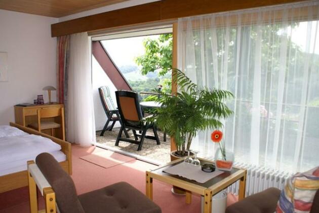 Rebenhof Apartment Sasbachwalden - Photo4