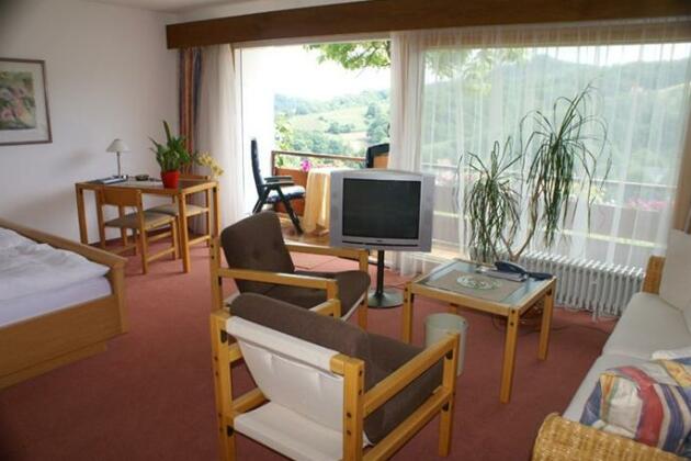 Rebenhof Apartment Sasbachwalden - Photo5
