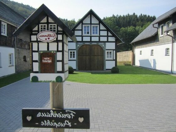 Traumferienhaus Sauerland