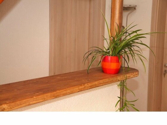 Pension Kerngbeck - Photo3