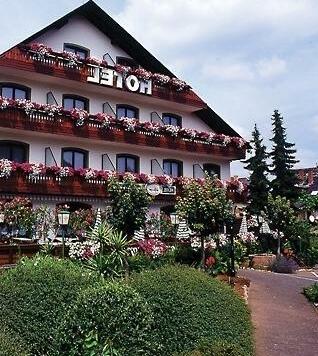Land Gut Hotel Zur Moselbrucke Schweich - Photo4