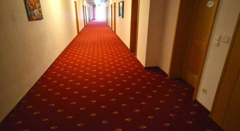 Hotel Atlanta Schwetzingen - Photo3