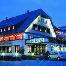Schwarzwaldhotel Oberwiesenhof - Photo2