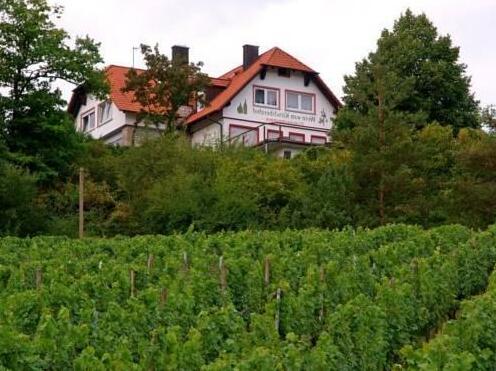 Kirschberghof Gastehaus und Weinverkauf - Photo5