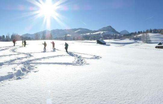 Berggasthof Sonne - Photo4