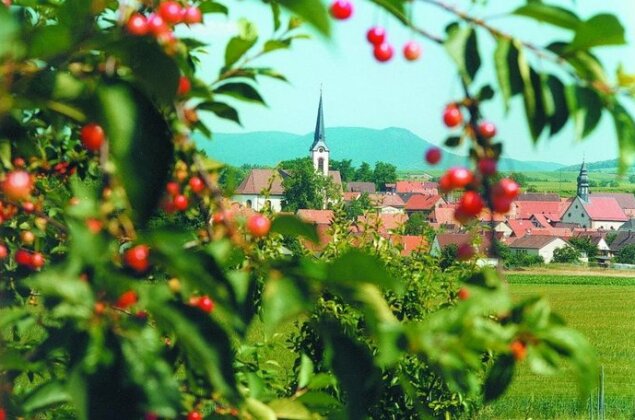 Weinstube Schwarzamsel - Photo5