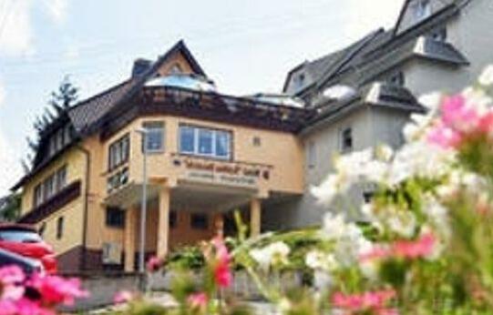 Hotel Schone Aussicht Steinach - Photo3