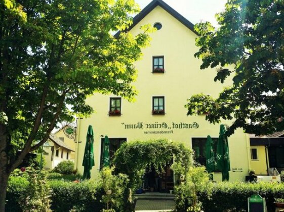 Hotel-Landgasthof Gruener Baum - Dittigheim