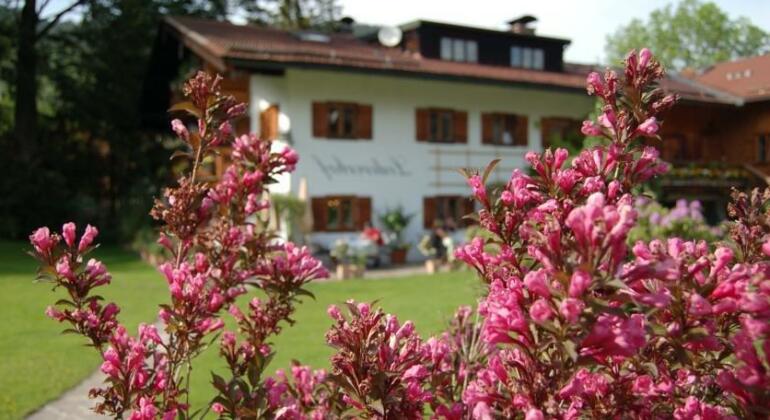 Aparthotel Ledererhof - Photo2