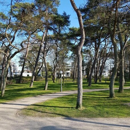 Parchenwohnung Strandallee - Photo4