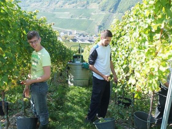 Weingut Claes Schmitt Erben - Photo3