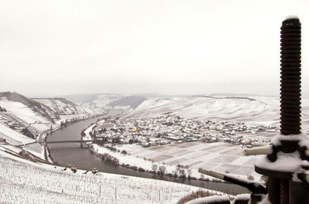 Weingut & Gastehaus Edwin Hoffmann - Photo5