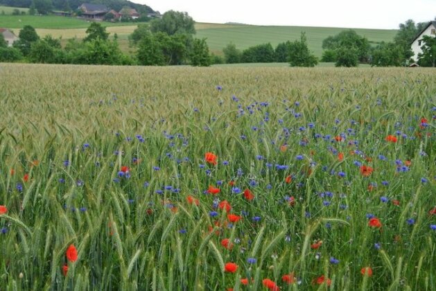 Ruheparadies Im Windfeld - Photo4