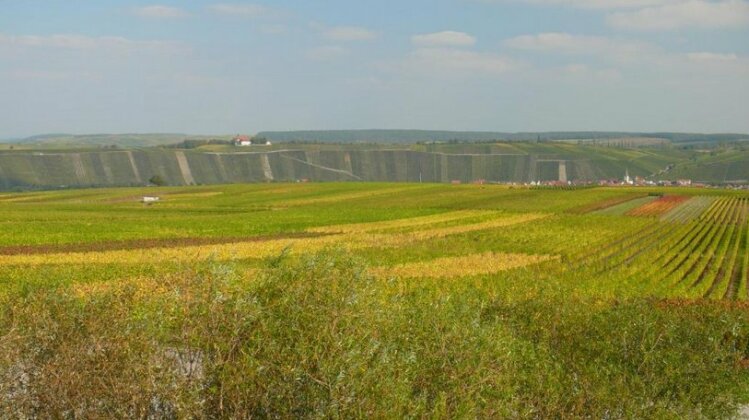 Weingut Herbert Kram - Photo2