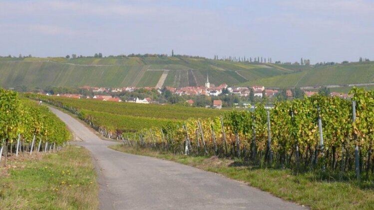 Weingut Herbert Kram - Photo5