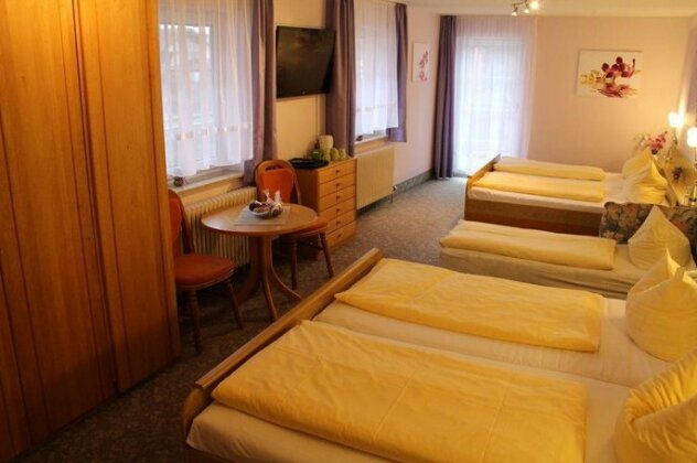 Hotel Restaurant Engel Willstatt - Photo3