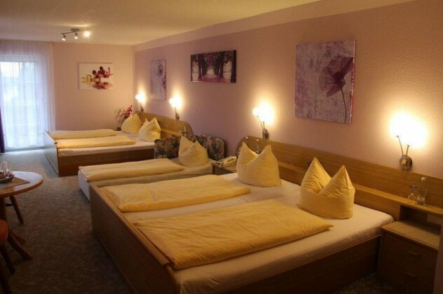 Hotel Restaurant Engel Willstatt - Photo5