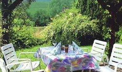 Reckweilerhof Hotel Wolfstein - Photo3