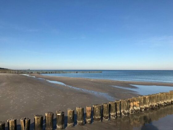 Villa Deichgraf -Fewo Zingst - Photo2