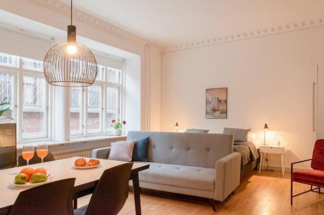 Cosy Apartment in the heart of Arhus - Photo2