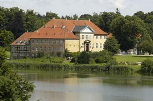 Skjoldenaesholm Hotel - Photo2