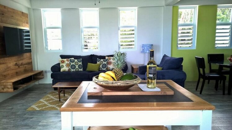 Cloud9 Dominica Apartments - Photo4