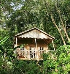 Jungle Bay Resort & Spa