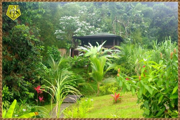 Homestay - Nature lovers & cooking - Photo3