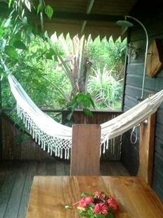 Liberty Jungle - Photo2