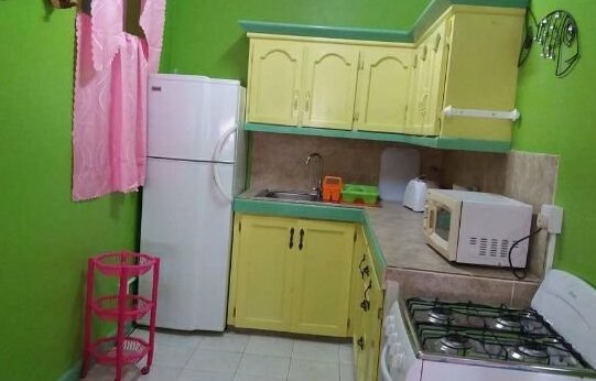 Mountain View Guest House - Photo3