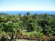 Mrs Robinson Cottage Rentals Roseau Dominica - Photo4